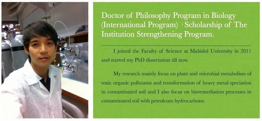 Causes of the great depression in canada essay